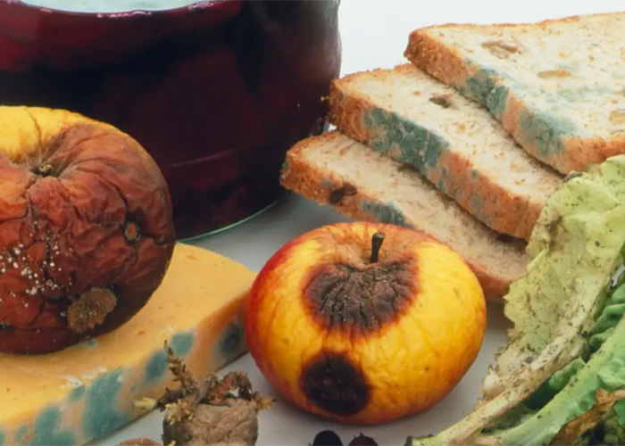 上海浦東過期食品銷毀